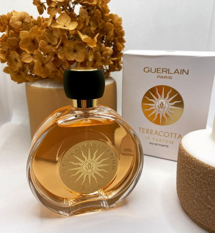 CC Long Lasting Fragrance | Laat TERA COTTA 100mlc | Premium Perfume
